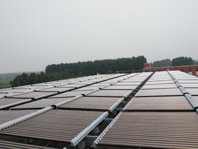 信緣康社會護理院